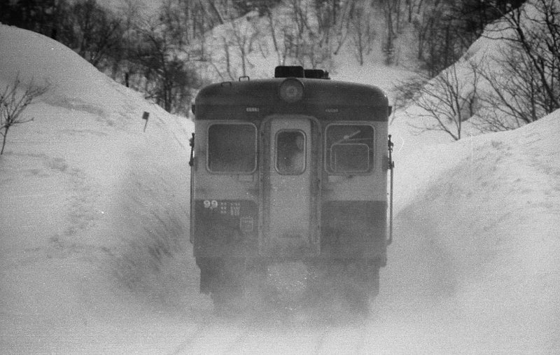 super_s_train's tweet photo. 保存キハ22の整備がいろいろ行われているようですが、すべてタラコ色のようですね。まあ、タラコに人気が集中しているので無理でしょうが…
どこかでツートンやってくれませんかね。
写真は留萌本線 恵比島～峠下にて
狙いは別にあり普通は気動車撮らなかったんですが…
#キハ22 #ツートン #留萌本線 https://t.co/fnPB7y4vlt