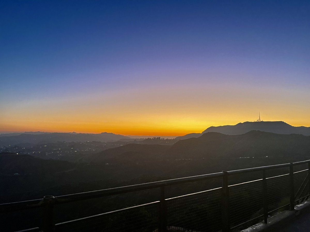 Sarah Aubert tweet media