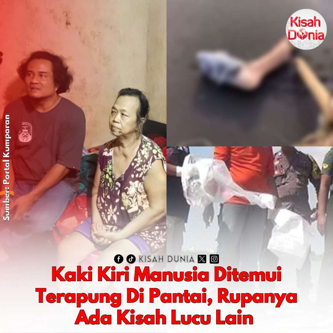 kisahdunia_com's tweet image. Laa ilaaha illallah bertuah punya cucu. 😭Seram sejuk orang yang mula-mula jumpa kaki tu. 

Berita Penuh: kisahdunia.com/link/523106

Ikuti channel rasmi Kisah Dunia di WhatsApp: kisahdunia.com/whatsapp

#kaki #pantai #pemancing #diabetes #cucu #KisahDunia