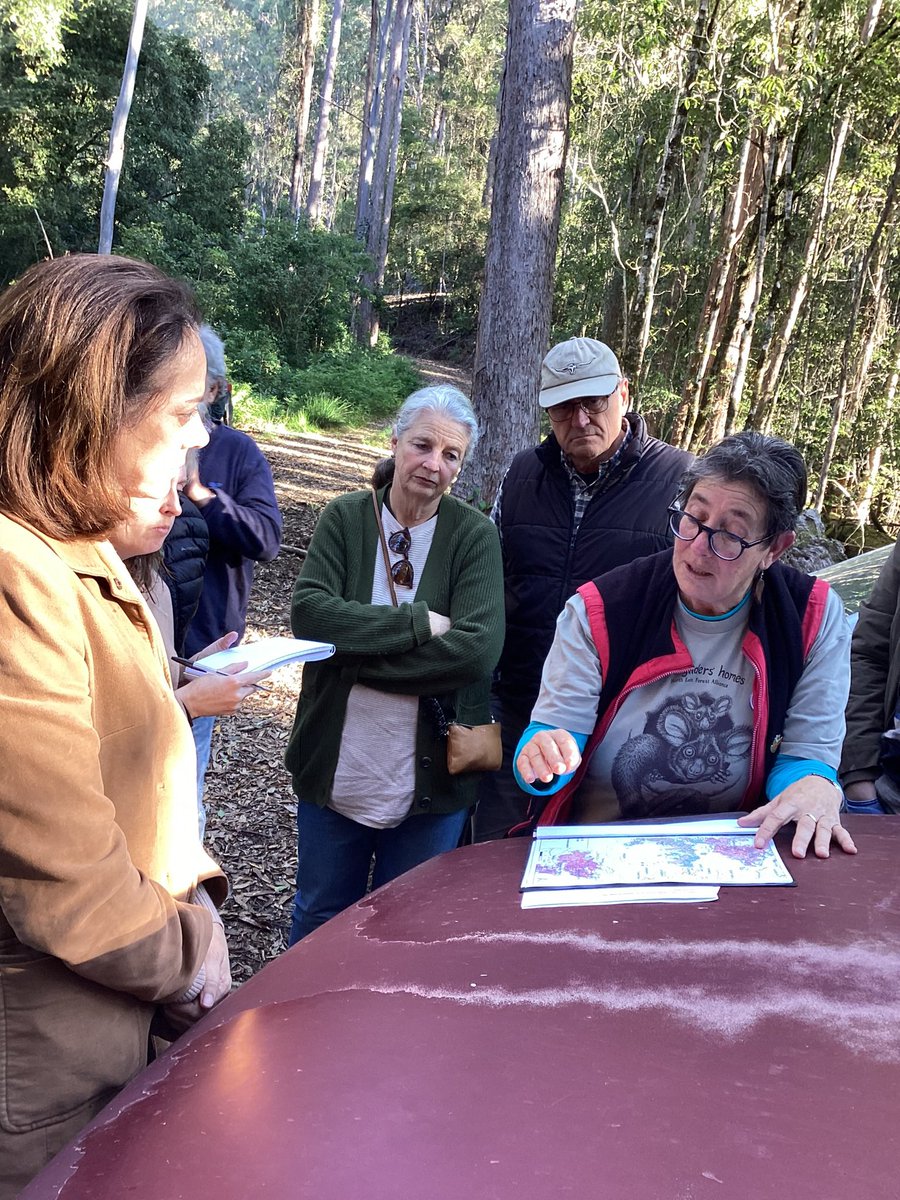 margokingston1's tweet photo. @bulga99 @nbnnews @1EarthMedia @NoFibs 10. A magical, freezing adventure when @SophieScamps & #Comboyne local Ken Henry joined Elands citizen scientists to prove endangered greater gliders live in the Bulga State Forest the NSW Govt wants to log on August 1.
We won’t let ‘em. My pics.
https://t.co/yj9sbQKJPF https://t.co/uuMSouwvi4