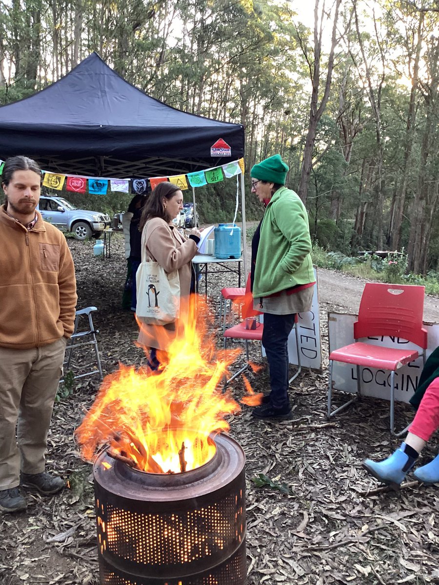 margokingston1's tweet photo. @bulga99 @nbnnews @1EarthMedia @NoFibs 10. A magical, freezing adventure when @SophieScamps & #Comboyne local Ken Henry joined Elands citizen scientists to prove endangered greater gliders live in the Bulga State Forest the NSW Govt wants to log on August 1.
We won’t let ‘em. My pics.
https://t.co/yj9sbQKJPF https://t.co/uuMSouwvi4
