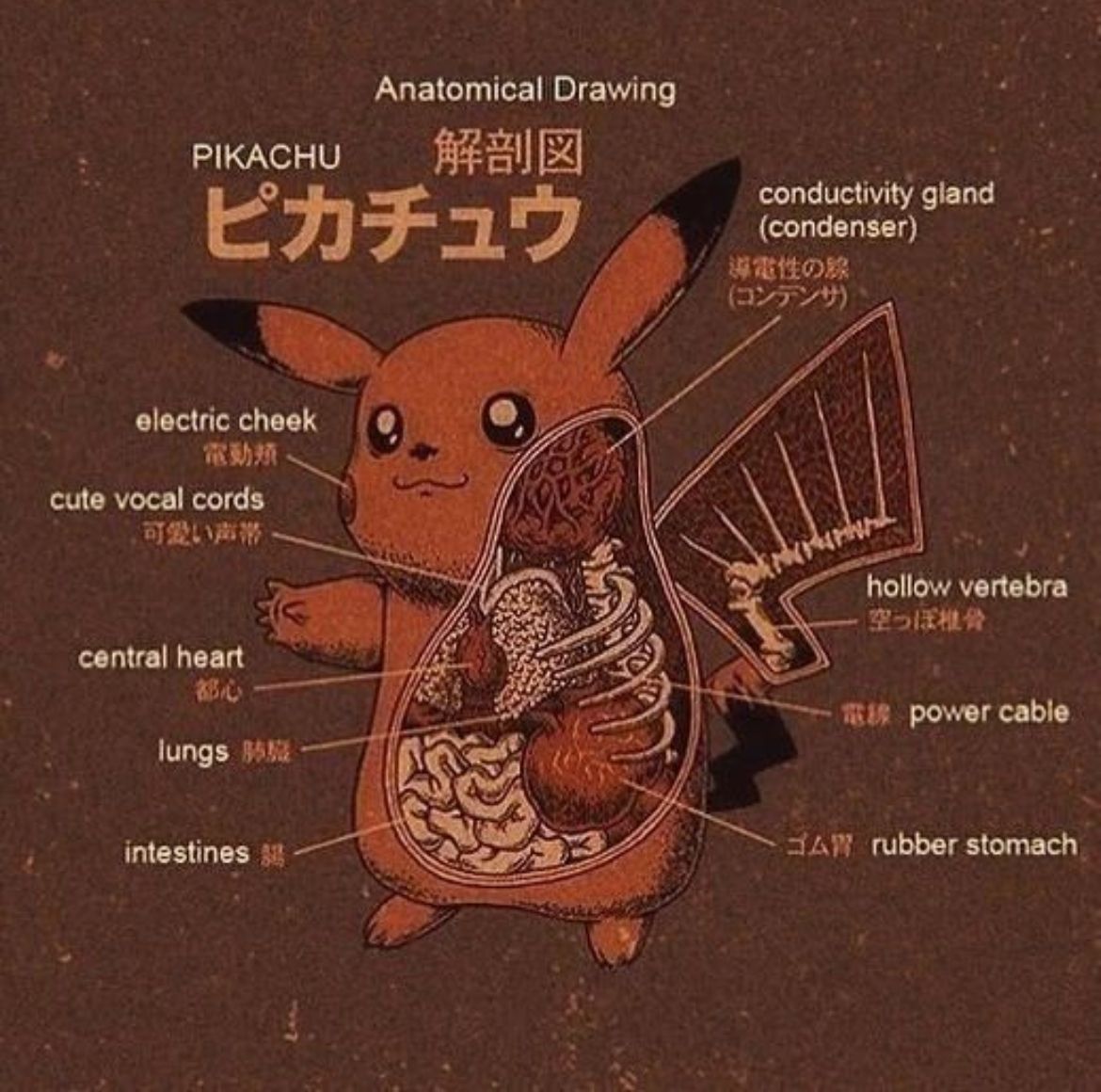retro_anime's tweet photo. https://t.co/pep7CyB0vk