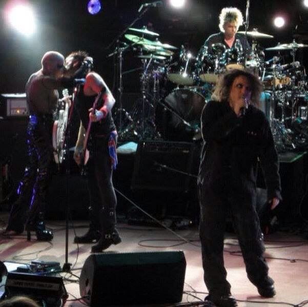 Daily Simon Gallup tweet media