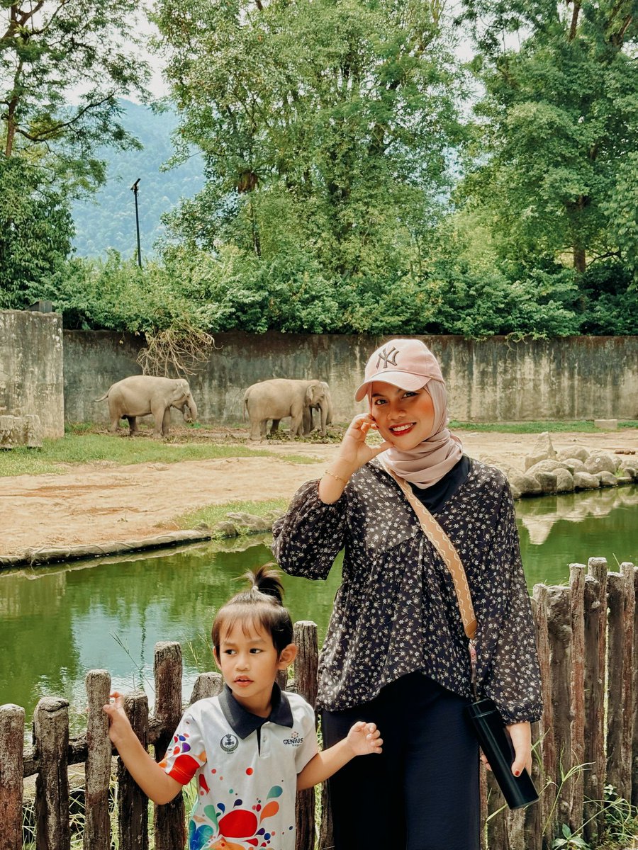 fertheduchess's tweet photo. 🦒🐊🐘🐍❤️🦓📸 https://t.co/amnektKUvn