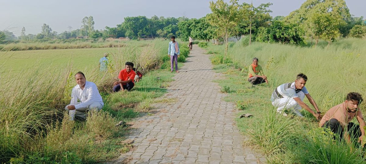 abhi_maurya308's tweet image. संकल्प -  पेड़ लगाने का 🌳
#savetreesavelife #savetree #abhishek_jap #saveenvironment #saveearth