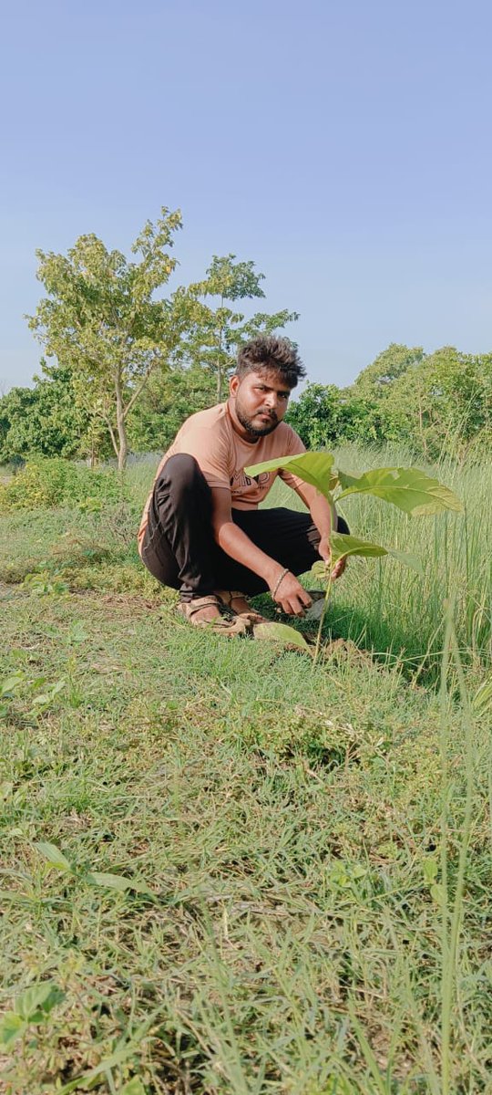 abhi_maurya308's tweet image. संकल्प -  पेड़ लगाने का 🌳
#savetreesavelife #savetree #abhishek_jap #saveenvironment #saveearth