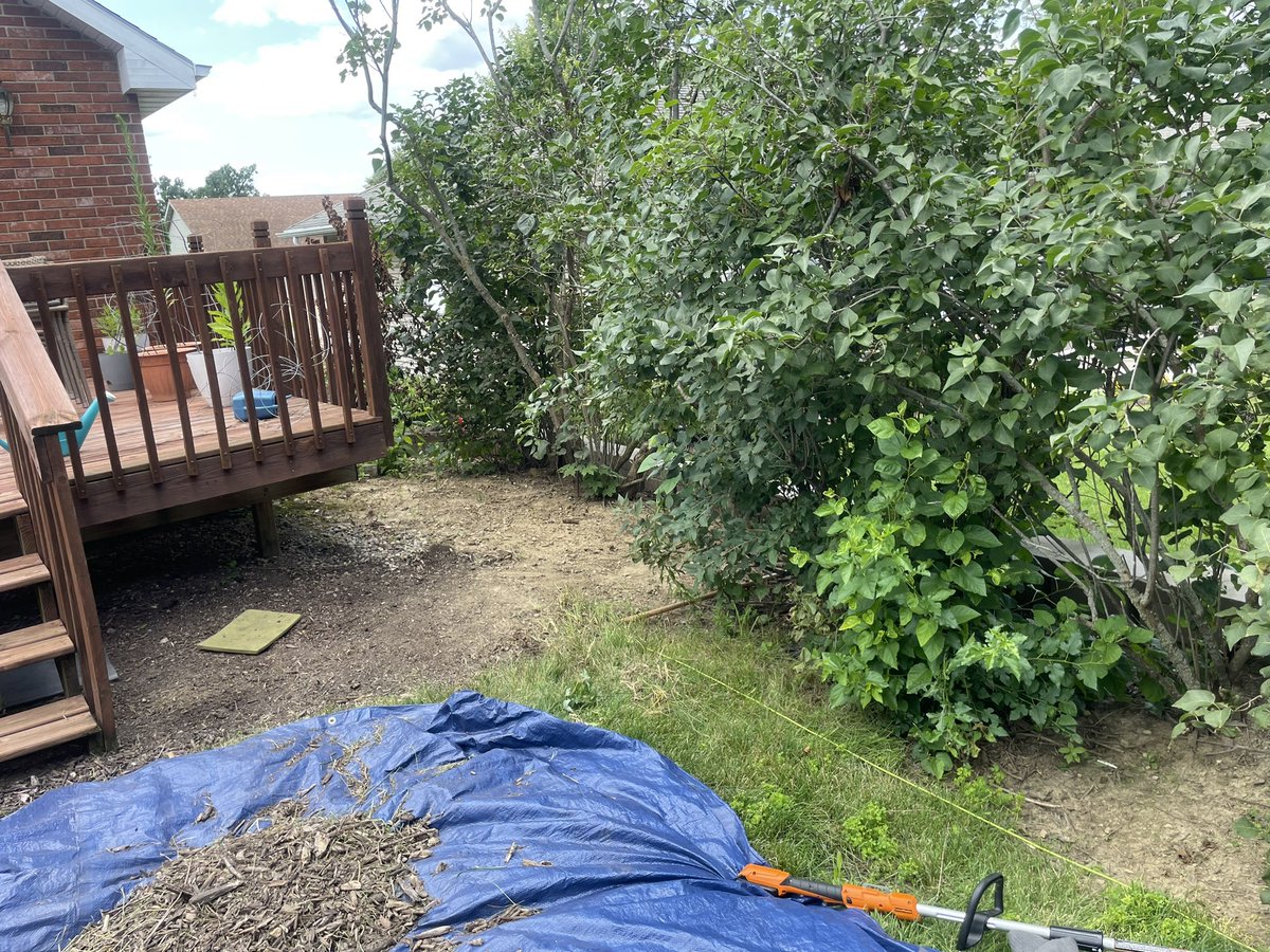 JaegerOutdoor's tweet photo. I have been called ugly, insufficient, stupid, ignorant, poor, inadequate, and far worse. Never has anyone ever told me I am a bad mulcher or subpar at installing weed guard and they never will be able to https://t.co/5FkekU4ZN3