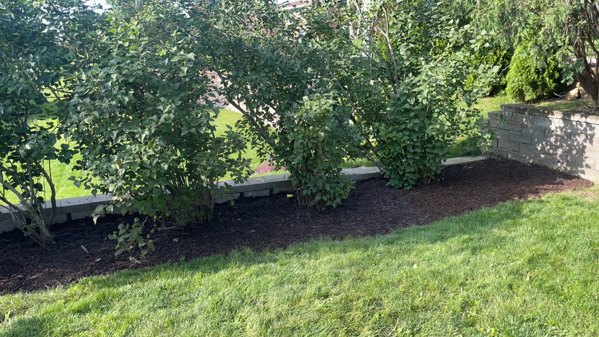 JaegerOutdoor's tweet photo. I have been called ugly, insufficient, stupid, ignorant, poor, inadequate, and far worse. Never has anyone ever told me I am a bad mulcher or subpar at installing weed guard and they never will be able to https://t.co/5FkekU4ZN3