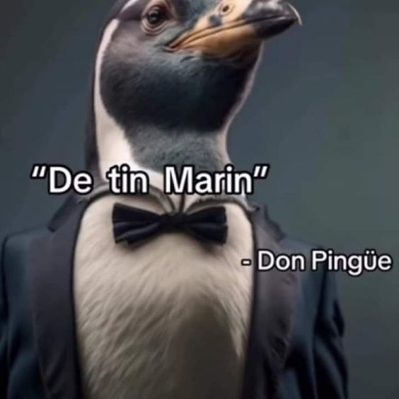 Angelisonlineee's tweet photo. @mjto_o en francia es ilegal ponerle de nombre "napoleon" a un cerdo XD https://t.co/QibP1Tp5t8