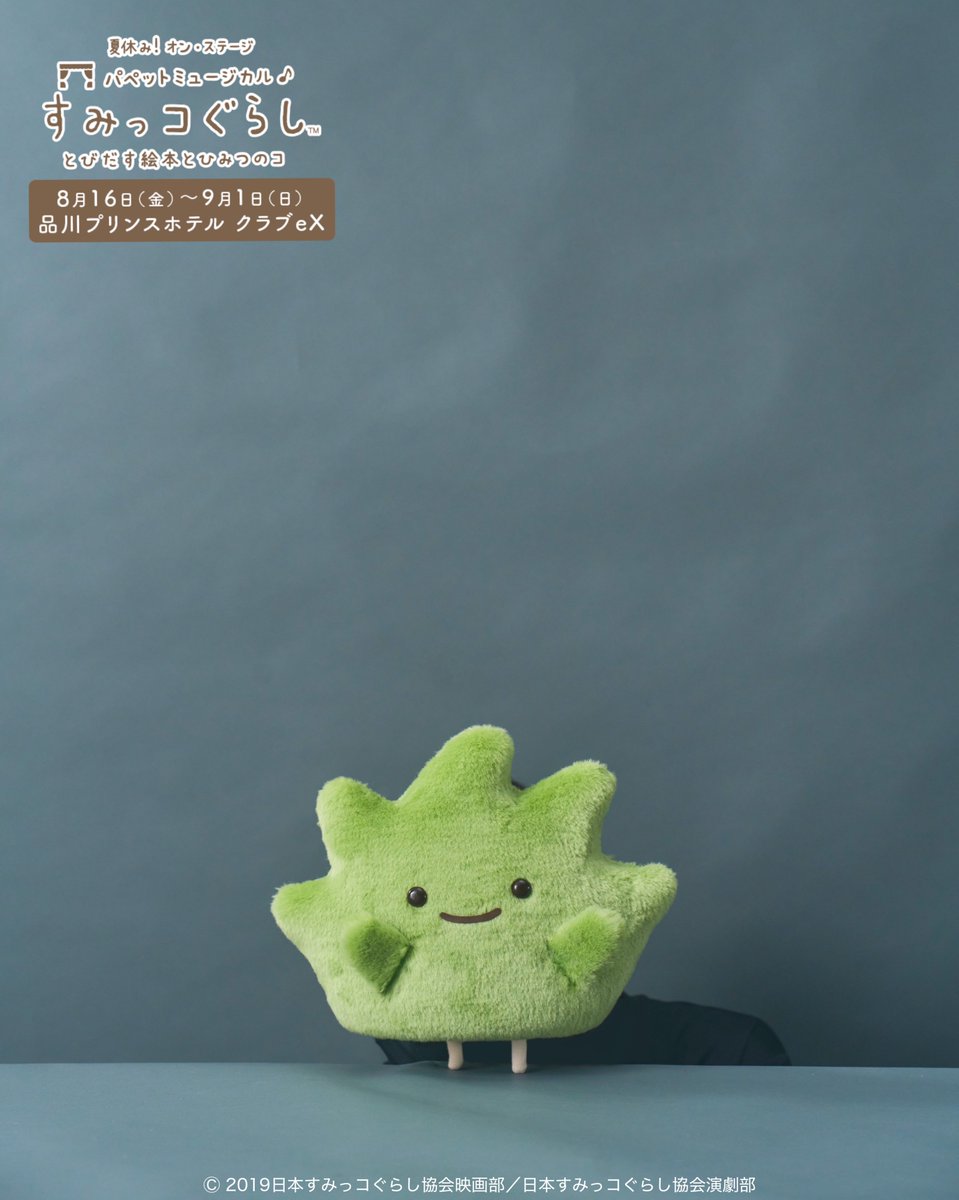 すみっコミュージカル ⋱パペット紹介📙ざっそう⋰ いつかあこがれのお花屋さんで ブーケにしてもらう！という夢を持つ ポジティブな草。  📗チケット一般発売中 https://t.co/syw5z2spLQ 📕公式HP https://t.co/ZA3HBgMfsA