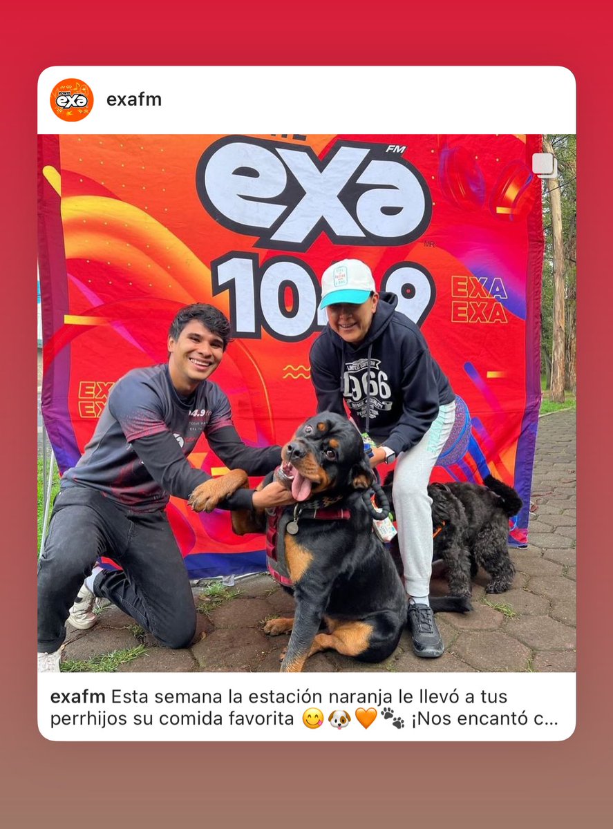 valdivia_nat's tweet photo. Cuando me pregunten si mi perro es agresivo, les enseñaré este post de Exa jajajaja https://t.co/VqYLB41Lw6