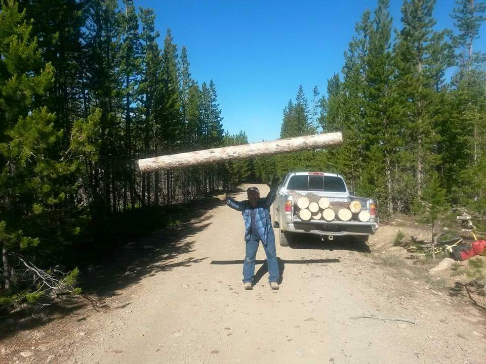 ShrekCoinSol's tweet image. $Shrek is starting to lift heavy green candles today. #OnlyPossibleOnSolana