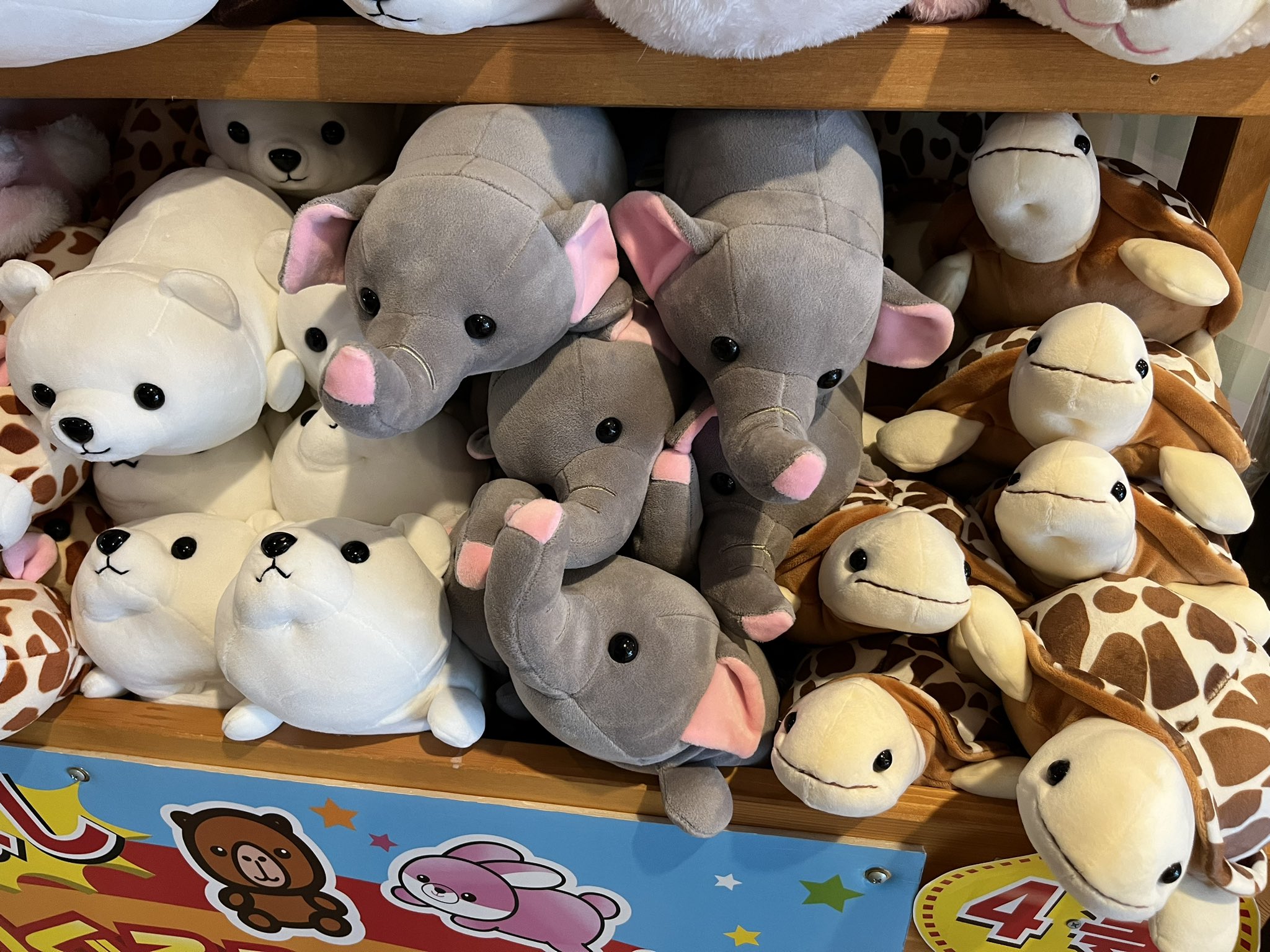 円山動物園監修 北極熊ぬいぐるみ M | official station