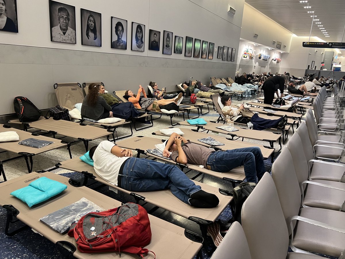 Dr. Daniela Dimitrova (@profdimitrova.bsky.social) tweet media