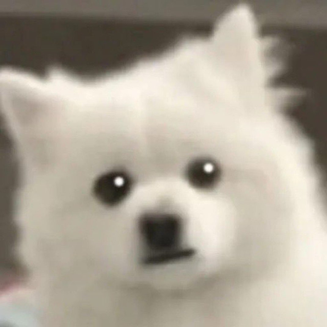 levigem's tweet photo. guys i changed my pfp to $yukie cause i know this doggo can send

YUKIE YUKIE YUKIE YUKIE YUKIE YUKIE YUKIE YUKIE https://t.co/L88eHGFNsM
