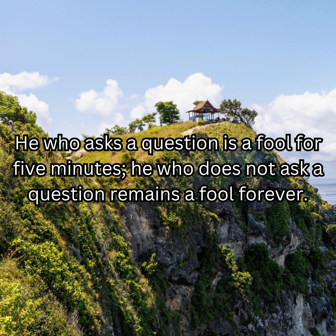 He who asks a question is a fool for five minutes; he who does not ask a question remains a fool forever.