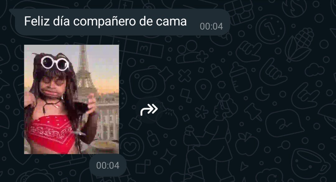 AlexisAniVe's tweet photo. Chongo me dijo feliz día... 🥲 https://t.co/6vBXyOss0L