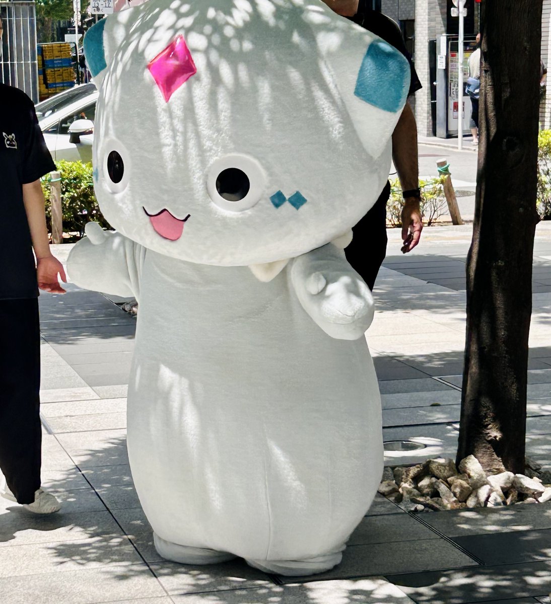 aki_ra1118's tweet photo. 子供にやさしいゆじゅと襟元苦しそなゆじゅと直して戻ってきたゆじゅです https://t.co/5FTmtI1N5s