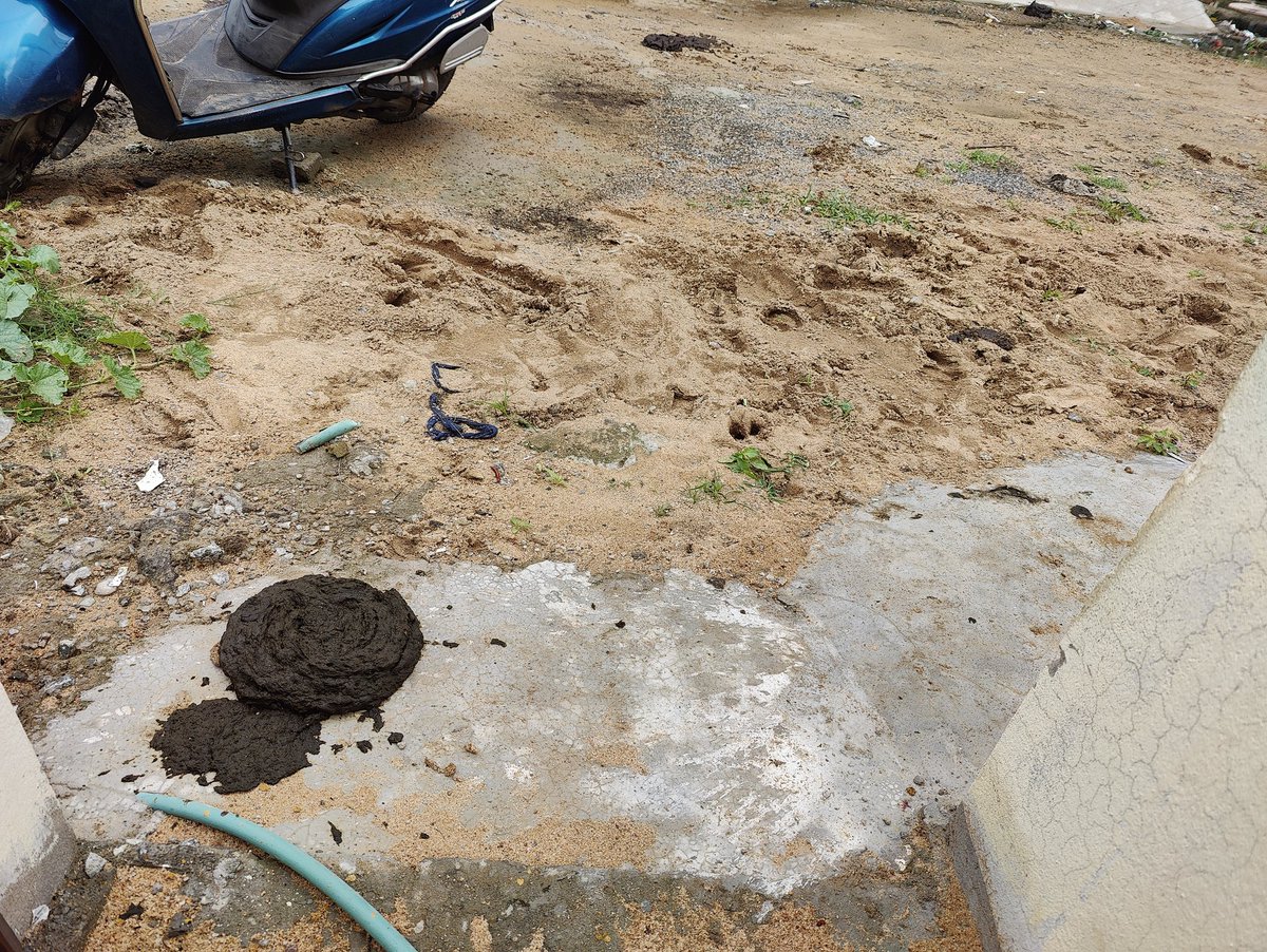 ManishSwain09's tweet photo. This is to inform @CMCCuttack that the roads of CDA Sector 13 are not getting cleaned properly. When the CMC cleaning worker is asked to clean the cow dung his reply is that he is not supplied with the necessary tools to clean it &amp; to give a complaint to @CMCCuttack to provide https://t.co/Zs1JOBO1Mr