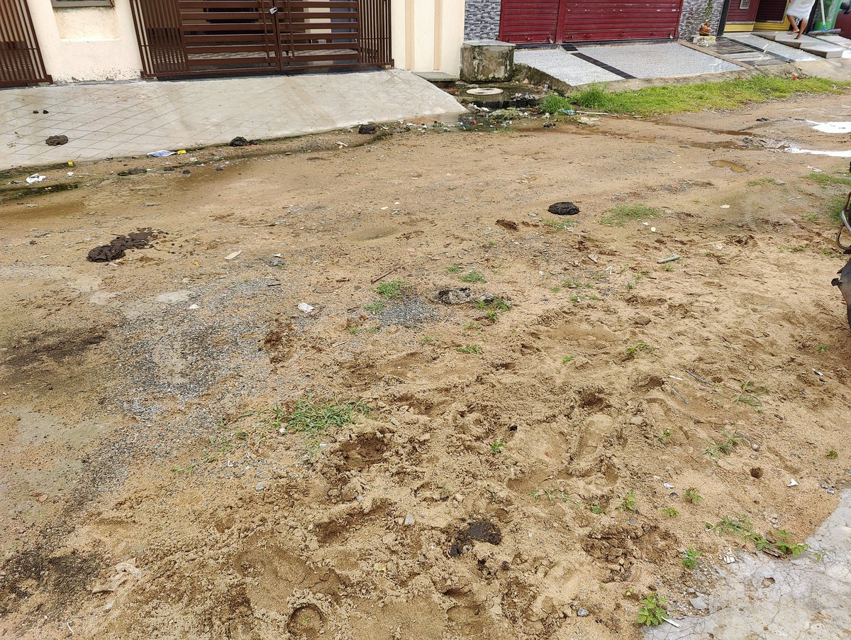 ManishSwain09's tweet photo. This is to inform @CMCCuttack that the roads of CDA Sector 13 are not getting cleaned properly. When the CMC cleaning worker is asked to clean the cow dung his reply is that he is not supplied with the necessary tools to clean it &amp; to give a complaint to @CMCCuttack to provide https://t.co/Zs1JOBO1Mr