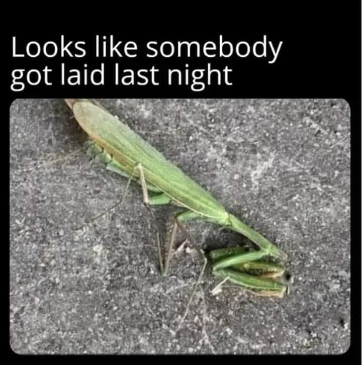 ninafromcanada's tweet image. #MenNotTheirBestMarketing