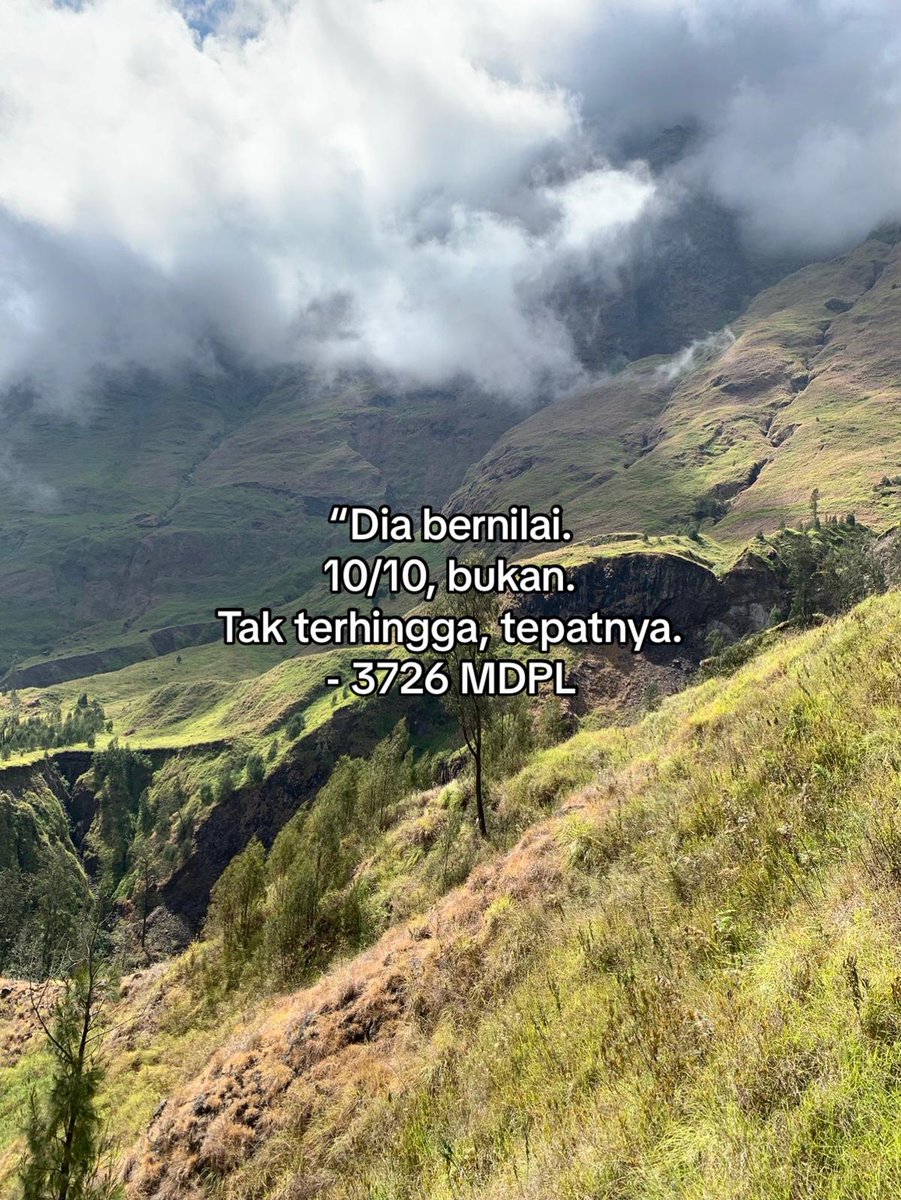#3726mdpl