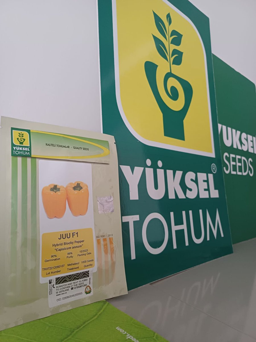 away_tucked's tweet photo. Fresh, ripe, and ready for your kitchen! Check out our premium Juu F1 capsicum seeds from @EveryAcreKenya. Perfect for any dish, packed with flavor, and grown with care.
Order now +254 113 111 999
#YesIko #Yukselseeds #everyacre 
Mercedes F1 Hanifa Soipan Tuya https://t.co/VrD77i1gpD