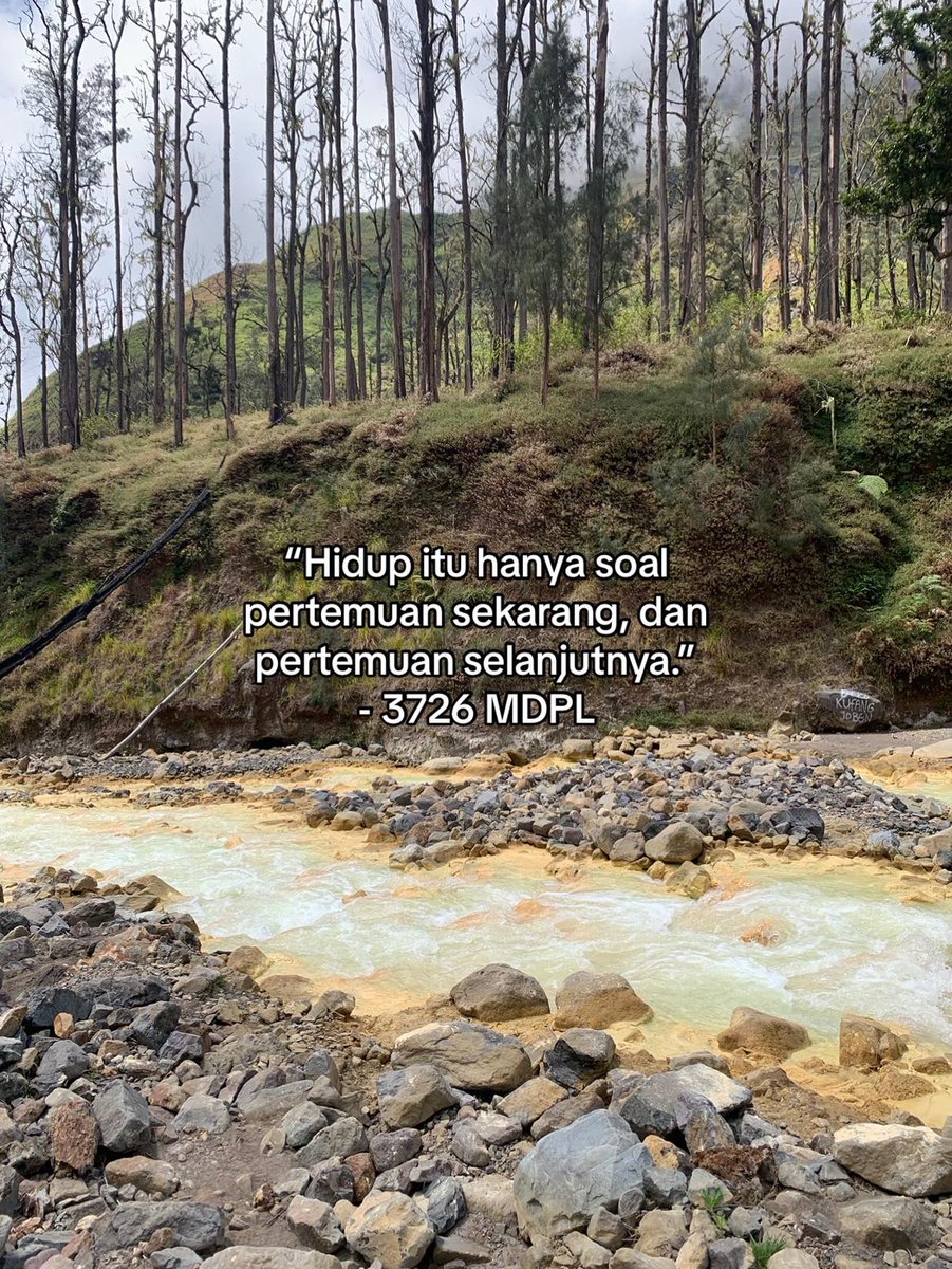 #3726mdpl