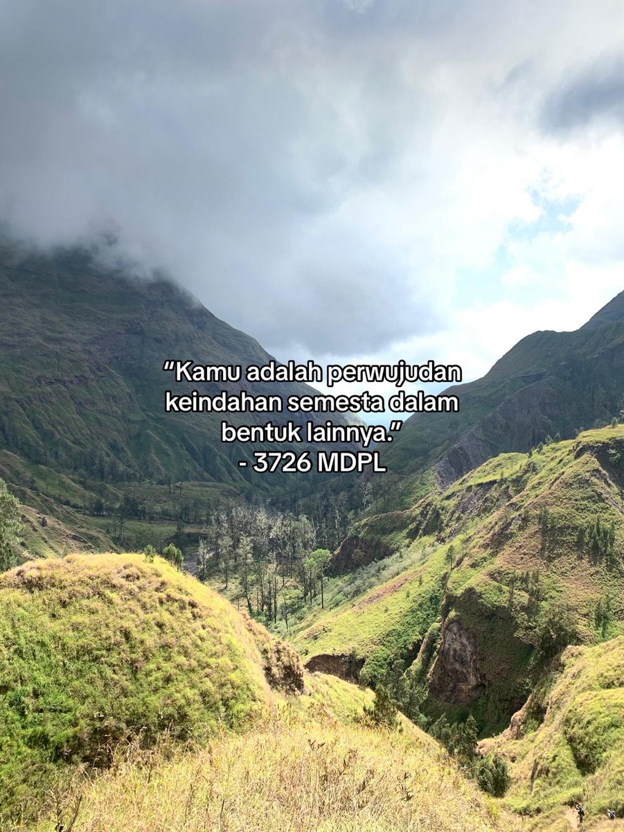 #3726mdpl