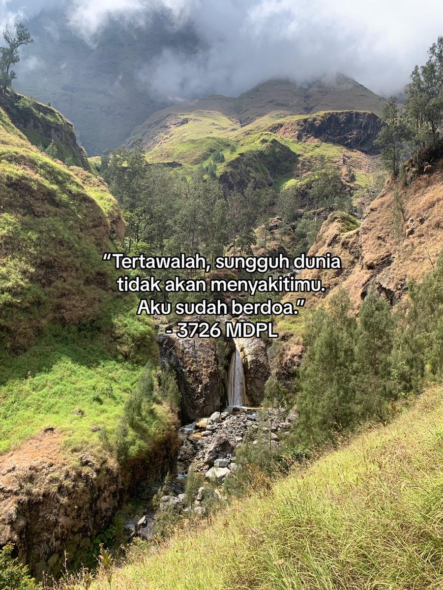 #3726mdpl