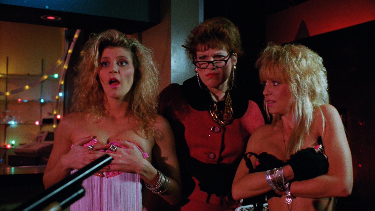 analgesicsleep's tweet photo. Of course, this week’s Friday #CultShelf leading ladies are Ginger Lynn and Linnea Quigley
#ViceAcademy2 #GingerLynn #LinneaQuigley #90smovies https://t.co/Id8Yp2C0gm