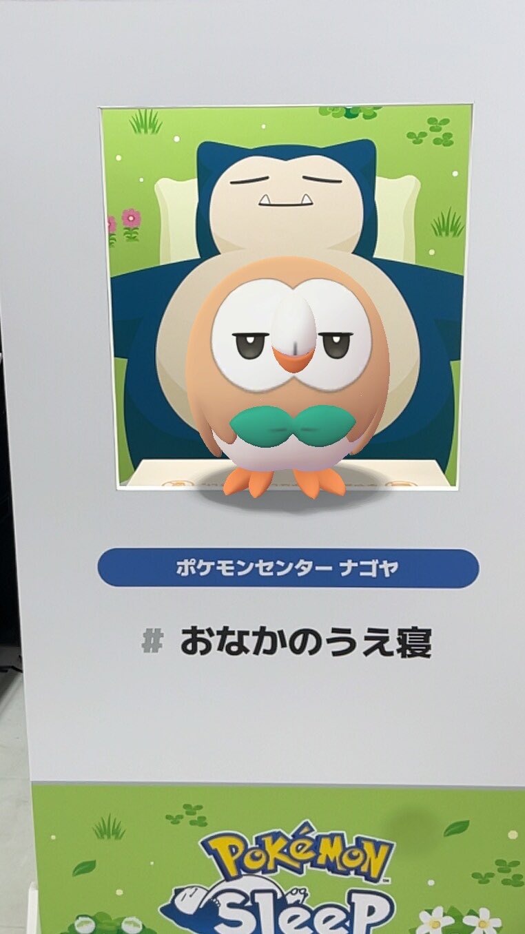 モクロー PROMO SM-Pプロモカード 290/SM-P モクロー ぬいぐるみ ポケモンカード モクロー PROMO SM-Pプロモ
