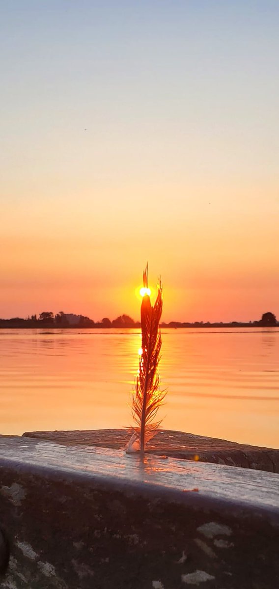 robinstalman's tweet photo. Be great in every moment.
Shine in Freedom.
#breathefree
#NatureLover 
#freedom https://t.co/Opax0BkleO