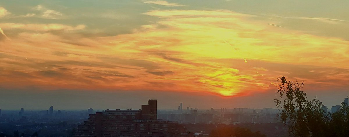 Micky Lachmann tweet media