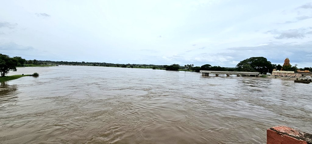 Karan_Sridhar's tweet photo. Kaveri near Yedathore, KR Nagara flowing nearly a feet below old bridge just before joining KRS https://t.co/P8tjbqnKJI