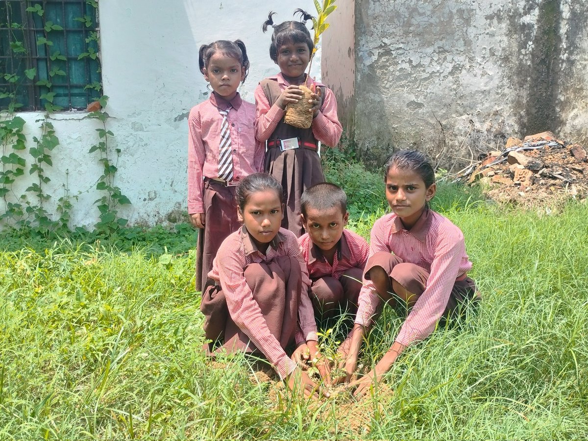 एक पेड़ माँ के नाम।
<a href="/DrDCSHARMAUPPSS/">Dr Dinesh Chandra Sharma</a>