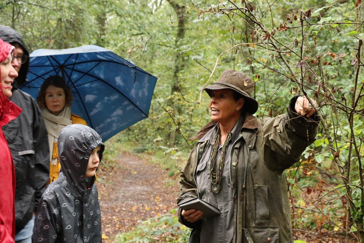 Speciaal voor mensen die niet makkelijk naar buiten kunnen, maar ook bij slecht weer of als u te maken heeft met middagdutjes van kleine kinderen is het ‘Natuuravontuur binnen’ een goed alternatief voor een boswandeling. Bekijk meer: lorkenbos.nl/natuuravontuur
