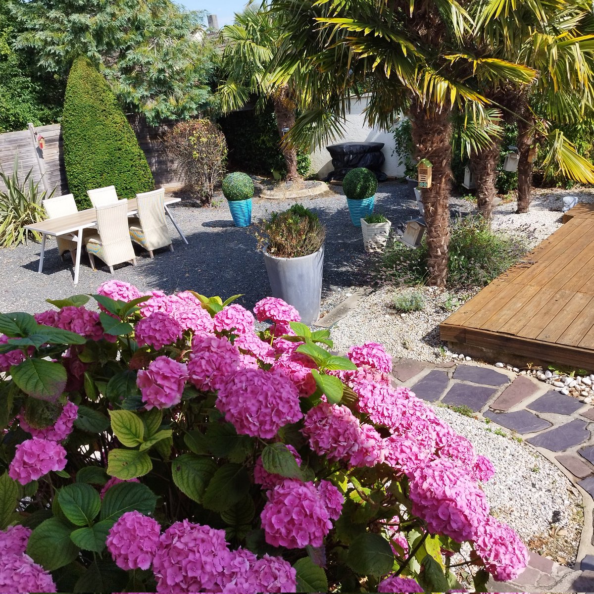 Christophe ROTH 🇲🇫🇪🇺 tweet media