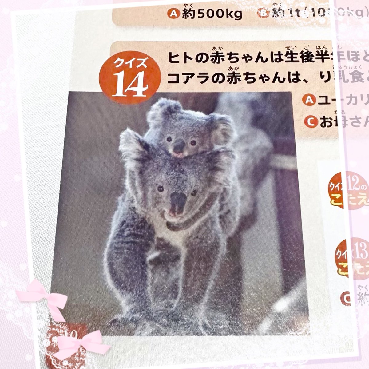 コアラ様♡専用 マクドナルドのハッピーセットにこまちがいると聞いて❕赤ちゃんの頃の