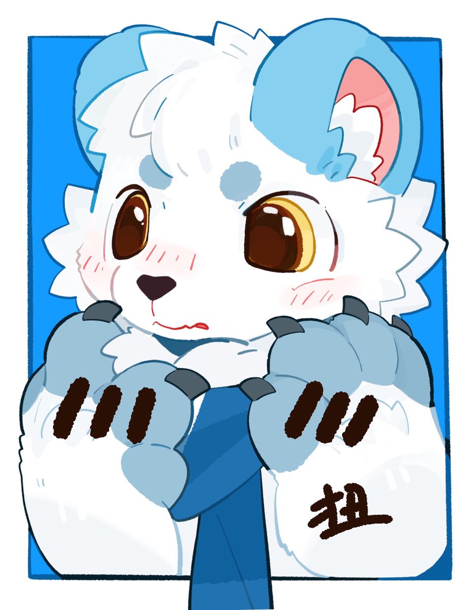 诺獭熊 tweet media