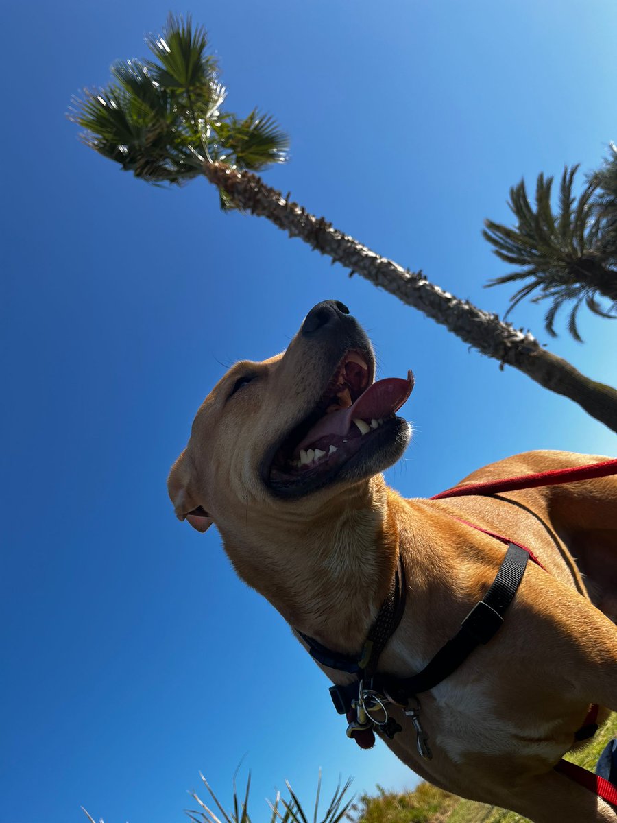 Este chavalin hoy me cumple años! Como puede ser que siga siendo igual de mono que hace 6 años?!