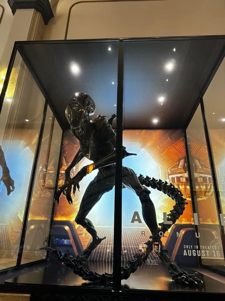 ALIEN ROMULUS | Lifesize prop promo display. A new Xenomorph is currently exposed at the AMC Theater (The Grove 14) in West Hollywood. #AlienRomulus #Aliens #fedealvarez #20thcenturyfox #creature #monster #ripley #xenomorph