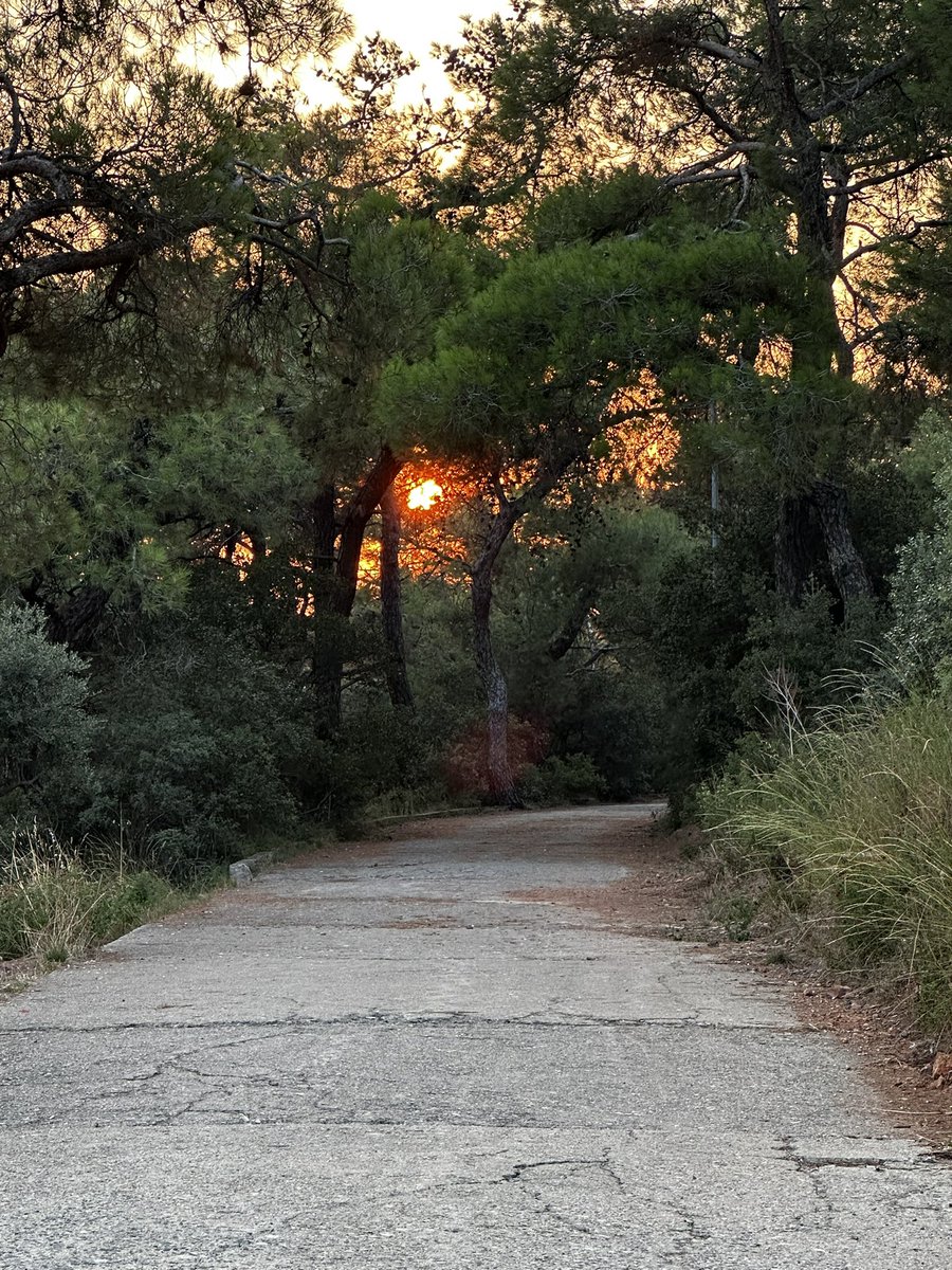 Yani şu soruyu soralım: Bir üniversite ya da akademik kurum nereden gelir elde eder, nereye nasıl harcama yapar.

Her hangi bir akademik kurumun düşünce özgürlüğü öncelikle devletten bağımsız bir ekonomik işletim sistemine, gelir modeline sahip olabilmesiyle mümkündür.

Bu ancak