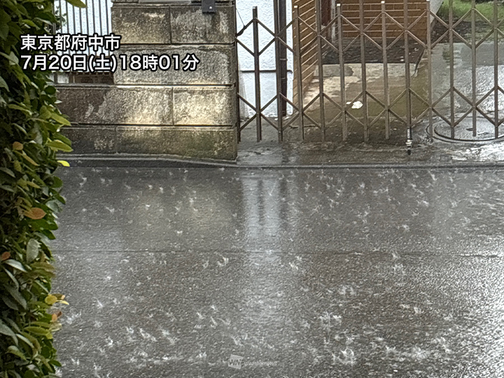 東京多摩で土砂降りの雨とカミナリ＞ 昼間は厳しい暑さとなった関東は
