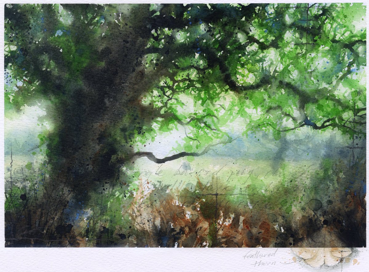 cookthepainter's tweet photo. Final call……

Sad that this is the last day of my @TheArtStable ‘Temperate times’ solo exhibition focusing on the small pockets of temperate rainforest we still have in the UK. Open 11-3

https://t.co/t5QzrGTDW4…

#art #temperaterainforest #painting https://t.co/B6rszZk8zx