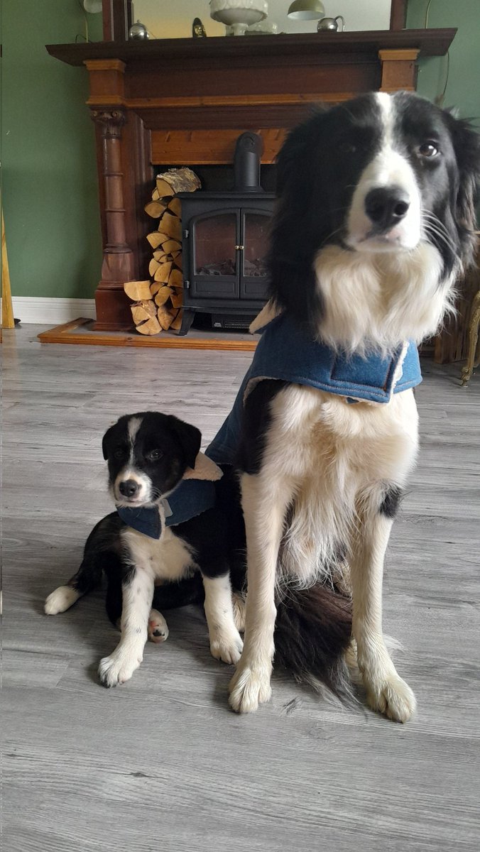 Rural_Rest's tweet photo. @reallorraine Pleeeeeease https://t.co/DI39riwKj7