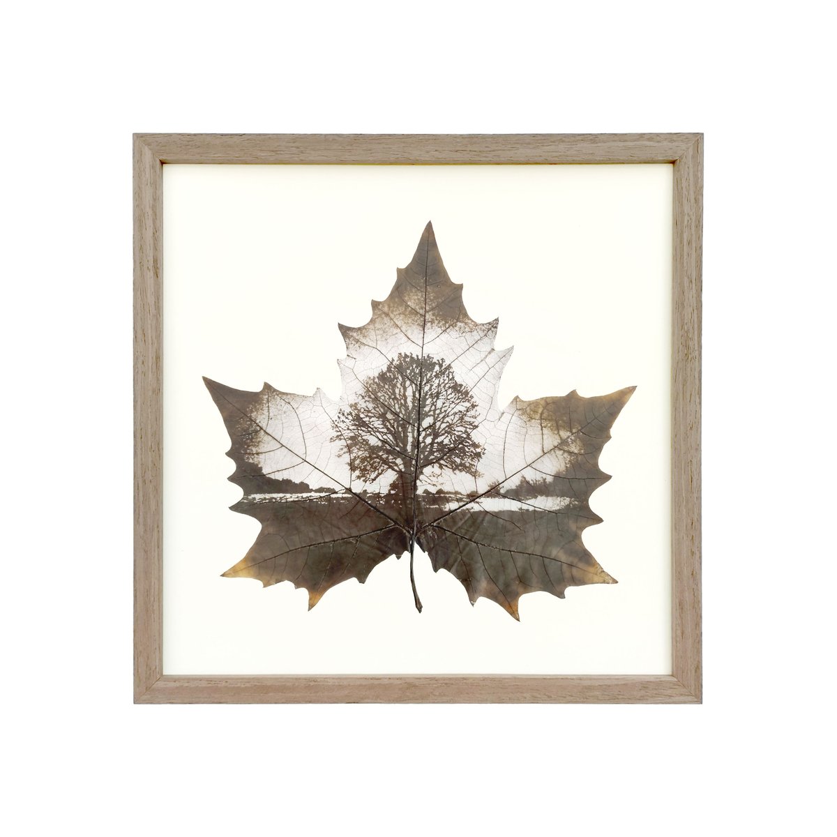 Flora_Whisper's tweet photo. Capture the blissful moments of life and the beauty of nature with our Tree of Life leaf art 🌿
https://t.co/7zhsVNPLBp
#TreeOfLife #NatureArt #HomeDecor #WallArt #LeafArt #Handcrafted #NatureInspired #GrowthAndStrength #EcoFriendly #UniqueGifts #InteriorDesign #ArtistryOfNature https://t.co/5vlmGitu4H