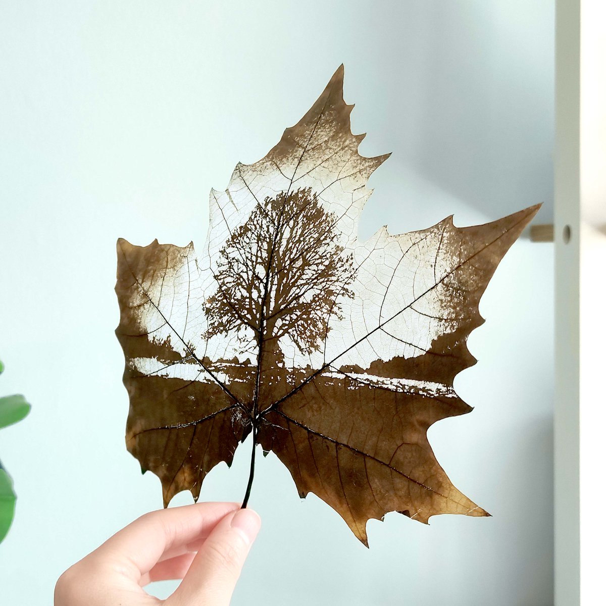 Flora_Whisper's tweet photo. Capture the blissful moments of life and the beauty of nature with our Tree of Life leaf art 🌿
https://t.co/7zhsVNPLBp
#TreeOfLife #NatureArt #HomeDecor #WallArt #LeafArt #Handcrafted #NatureInspired #GrowthAndStrength #EcoFriendly #UniqueGifts #InteriorDesign #ArtistryOfNature https://t.co/5vlmGitu4H