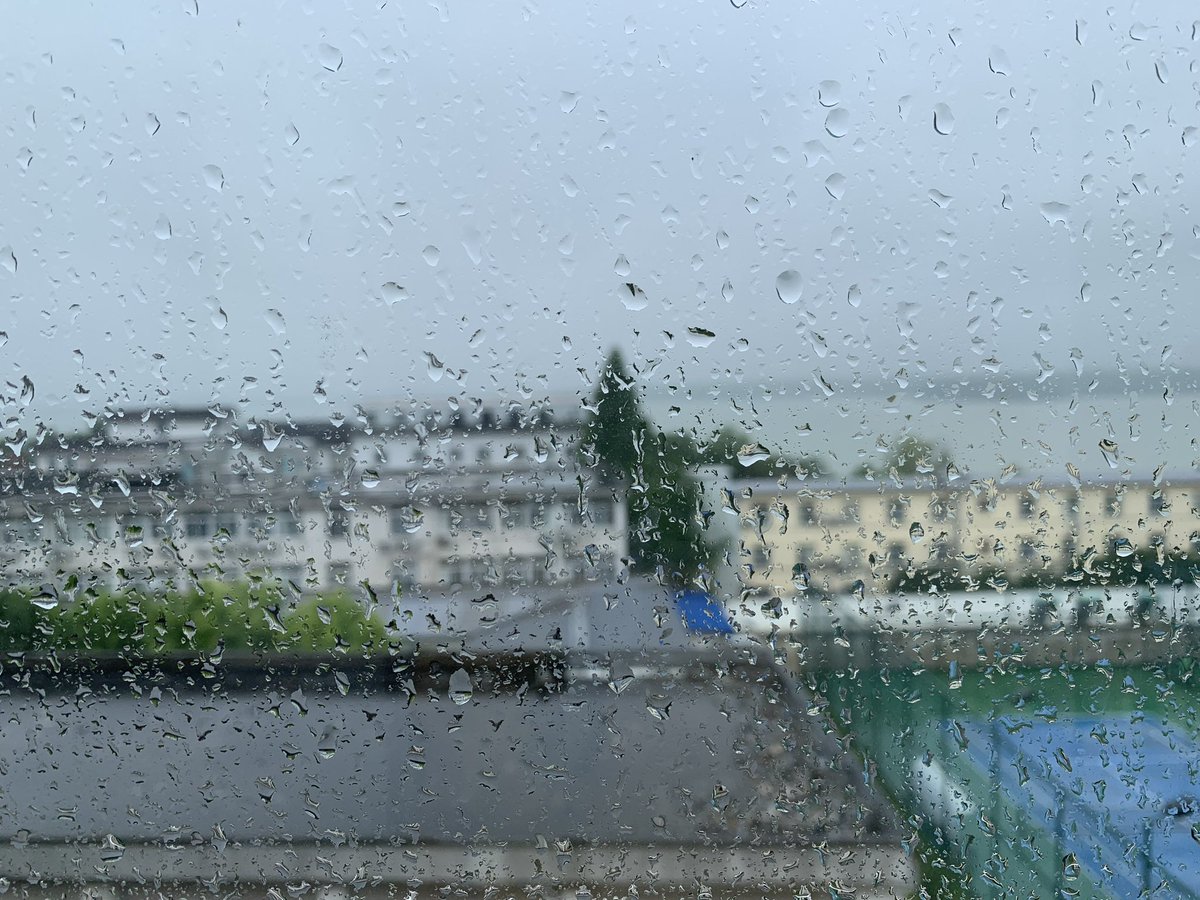 William Oreo tweet media