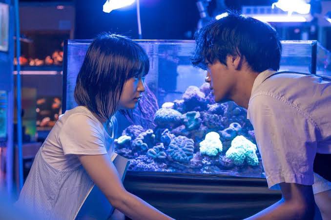 MIZU70076412's tweet photo. ⛰️お知らせ🫧

野外映画フェス
《#かつての水面と森の映画祭2024》にて
「#ビート・パー・MIZU」が久しぶりに上映されることになりました👏

9月21〜22日でのオールナイト上映です。
夏の終わりに是非。⛱️

詳細��こちらから⇩
https://t.co/kZEYPbmJZk https://t.co/DclSO5EmjT
